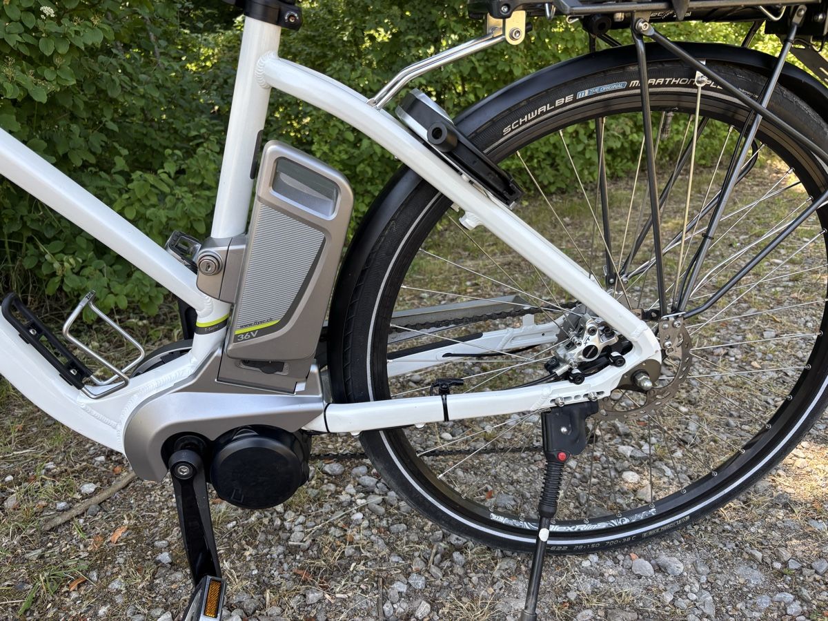Flyer Biciclette: Flyer 45 km/h – Usato da Kleindietwil venduto da her_d77z 5