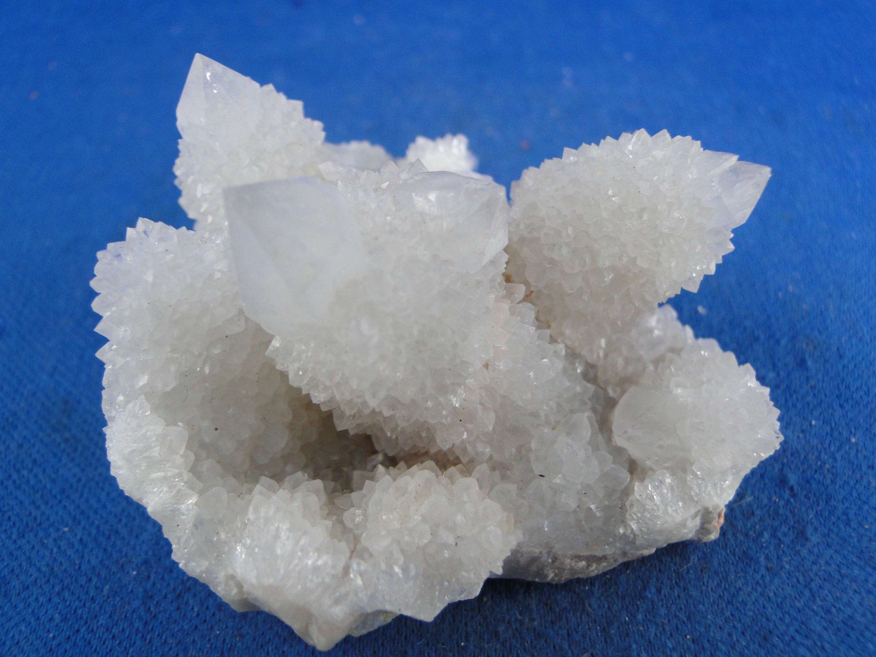 Minerali & Pietre curative: Quartz var. Amethyst & Kaktus – Nuovo e nell'imballaggio originale da Schinznach Bad venduto da Demerald 7