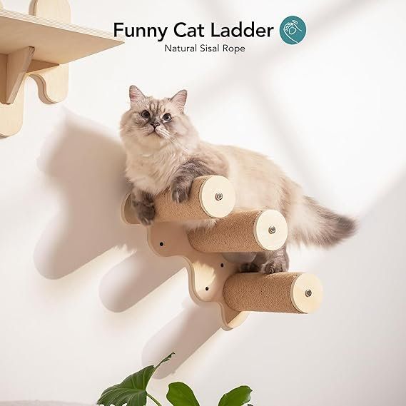 Pareti & prese d'arrampicata: Katzen-Wandregale aus Holz, 4er-Pack – Nuovo e nell'imballaggio originale da Oberentfelden venduto da sch_8bt6 4