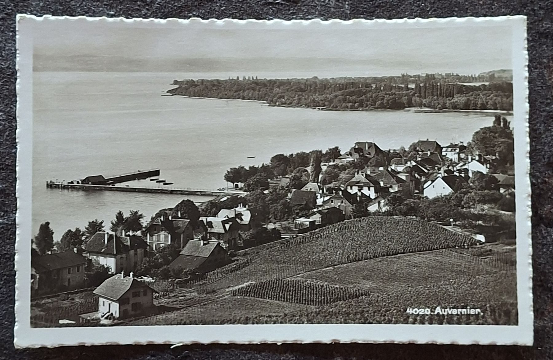 Cartoline postali: Ansichtskarte Auvernier mit See und Dorf 1937 – Usato da Siebnen venduto da Leissav