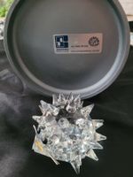 Swarovski Igel gross Rar Vintage 1976 7630/ 050