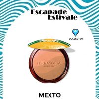 GUERLAIN Terracotta Summer Glow (NEW)