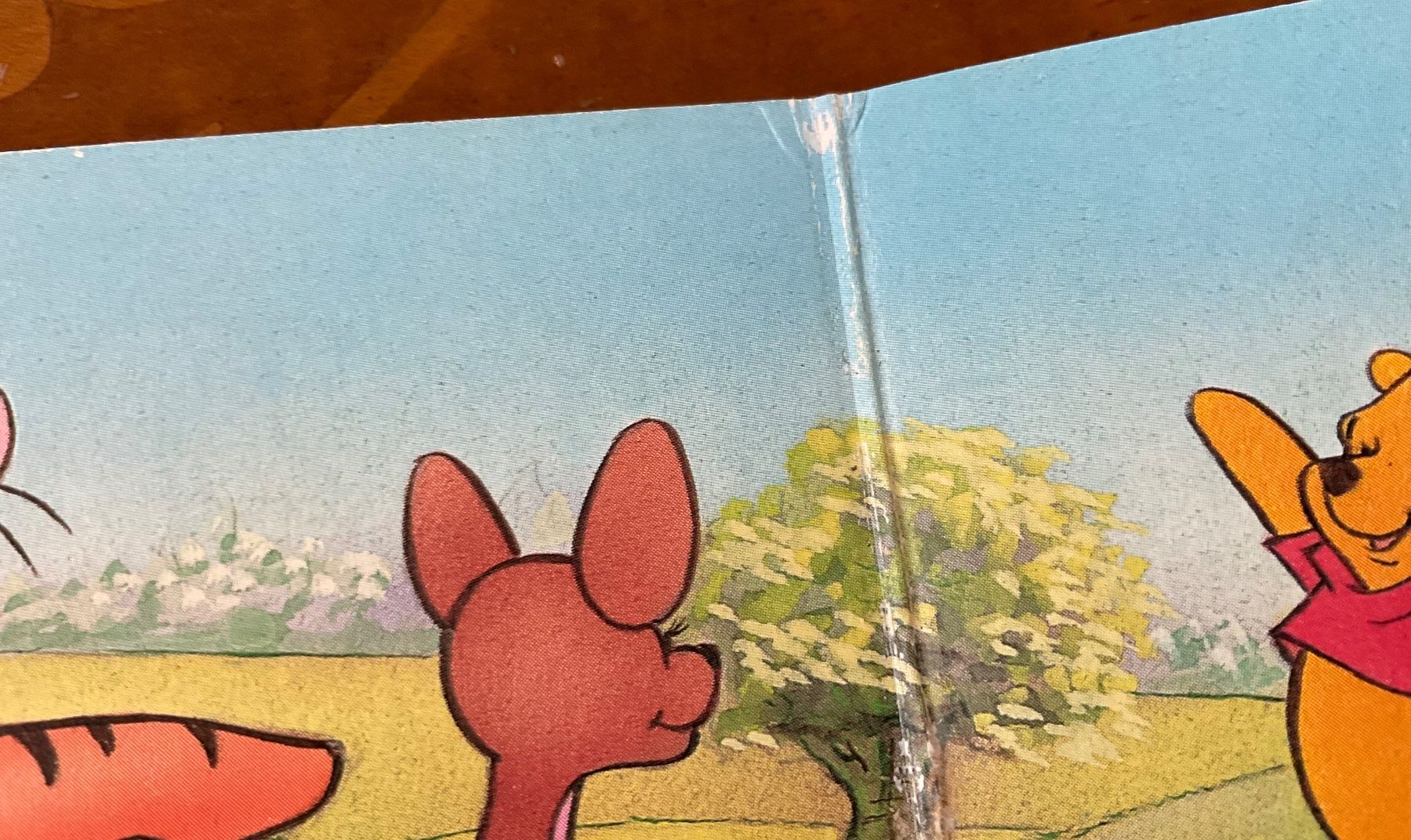 Libri: Winnie Puuh, Puzzlebuch und Büchlein – Usato da Niederteufen venduto da sicmu 3