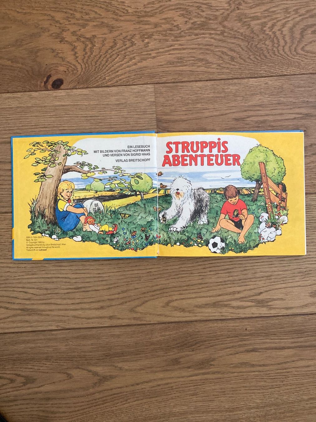 Libri: Struppi's Abenteuer - Bilderbuch – Nuovo (secondo la descrizione) da Zollikofen venduto da gamel01 1