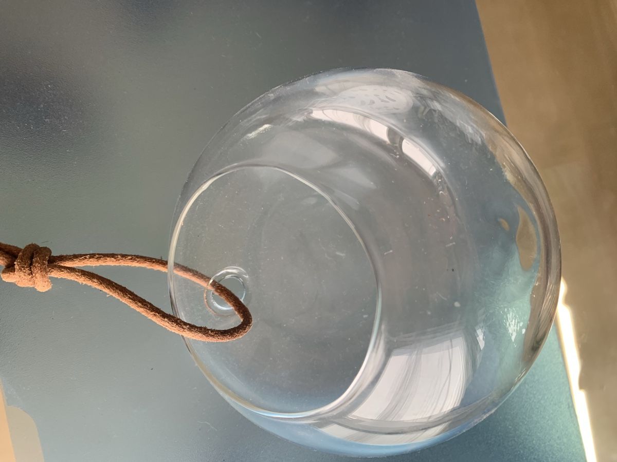 Verres: Glaskugel für Pflanzen  – D'occasion à Brugg AG par Simone92 4