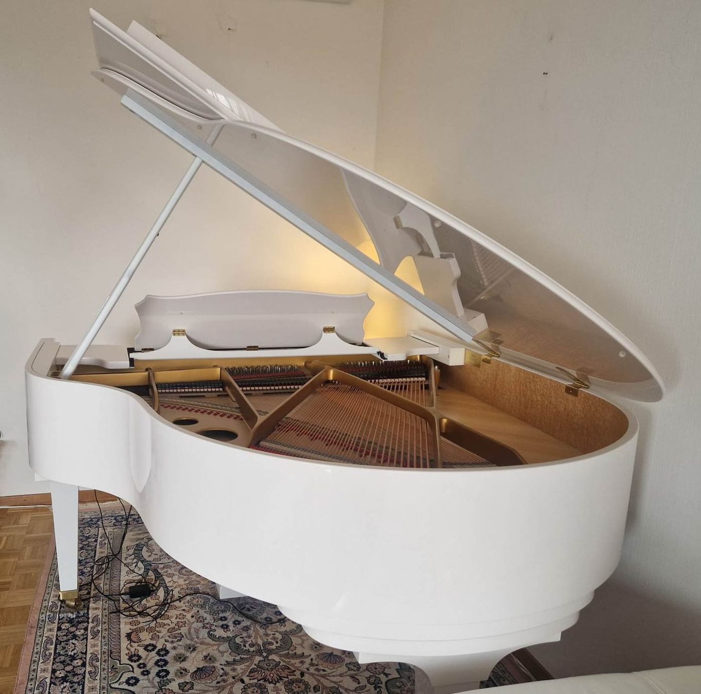 Strumenti musicali: PIANO à QUEUE /  STEINGRAEBER & SÖHNE A-170   BLANC LAQUÉ – Nuovo (secondo la descrizione) da Troistorrents venduto da kohlrusch 3