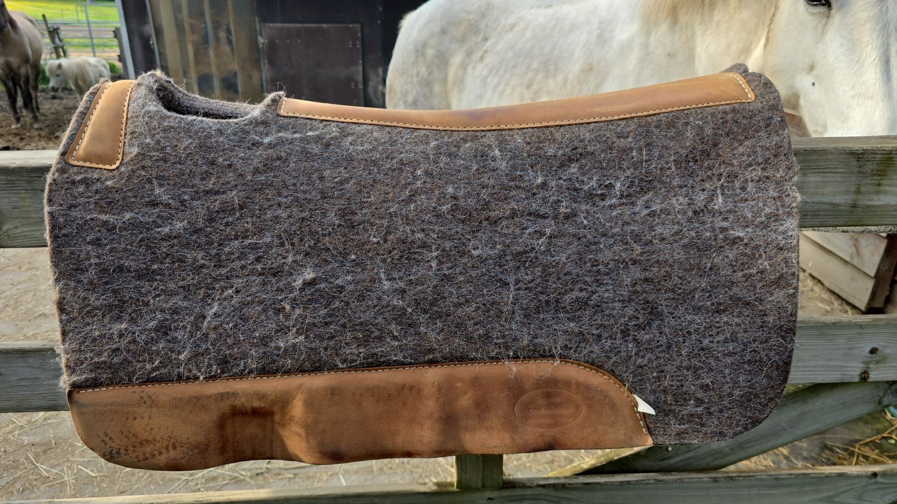 Selle & Accessori: Tapis feutre western USA – Usato da Attalens venduto da Lau4 3