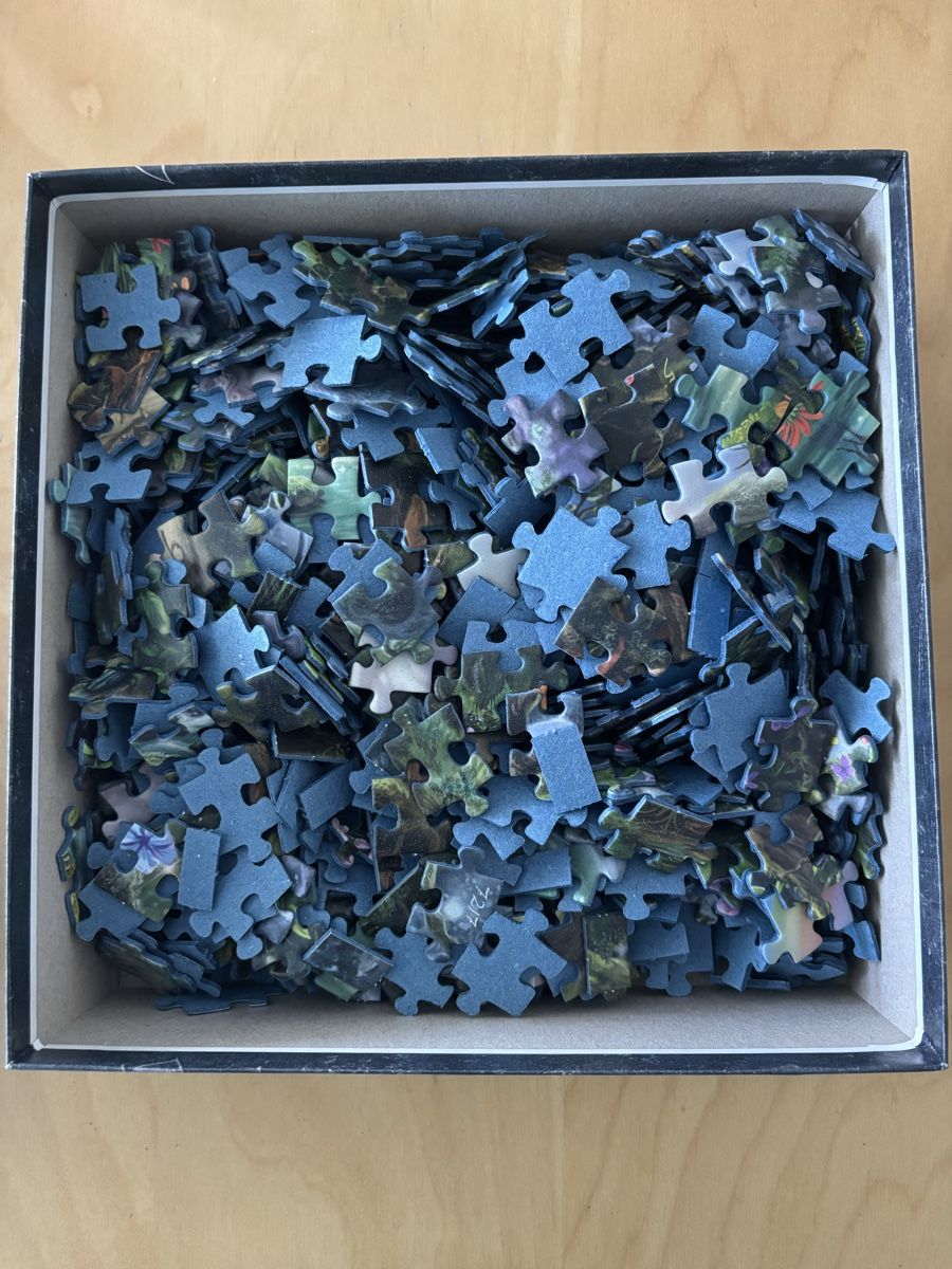 Ravensburger Puzzles: Exit Puzzle Ravensburger – Gebraucht aus Niederwangen b. Bern von muidop 2