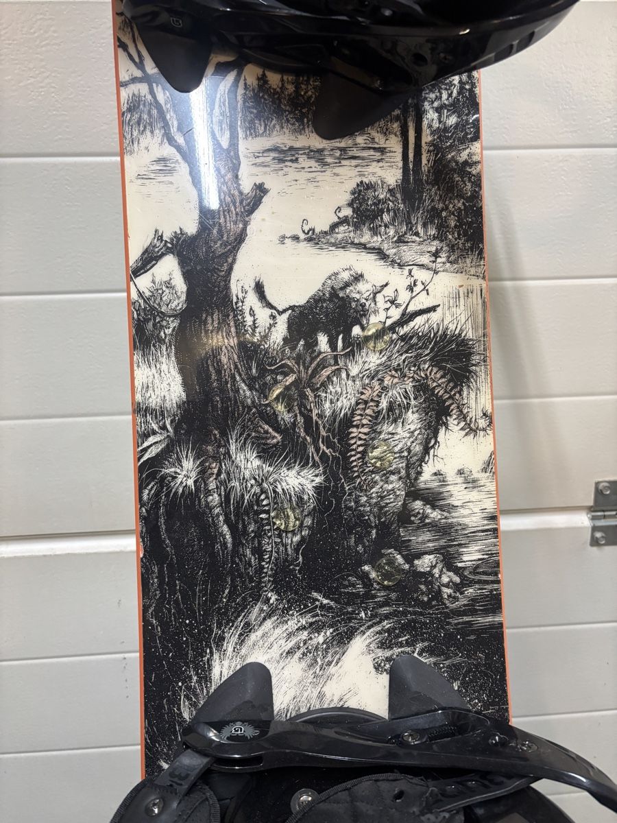 Rossignol Board: Snowboard Rossignol  – Usato da Mümliswil venduto da Stormorange 2