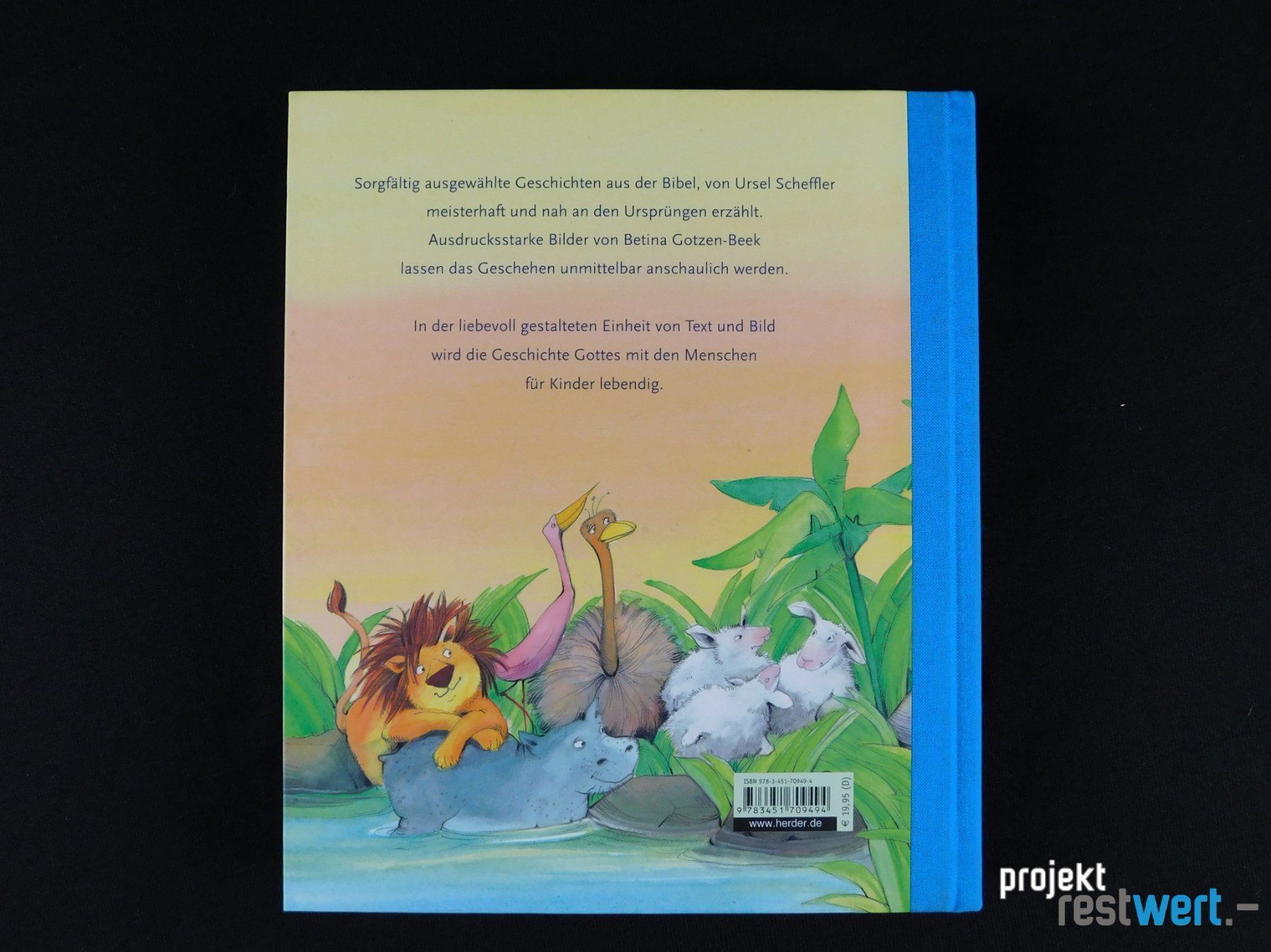 Bücher: Kinderbibel von HERDER – Neu (gemäss Beschreibung) aus Bülach von restwert_buelach 1