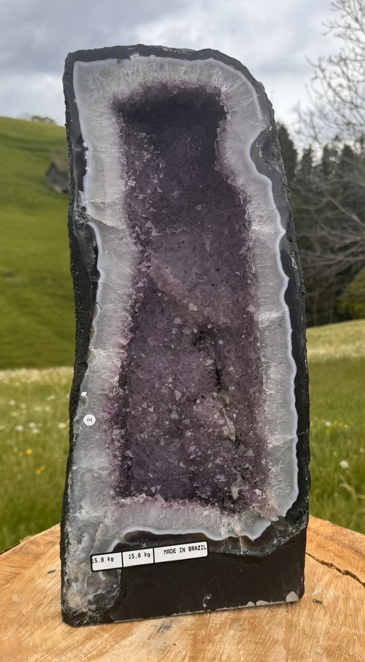Mineralien & Heilsteine: Exquisite Amethystdruse aus Brasilien – Neu (gemäss Beschreibung) aus Rheineck von