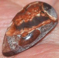 Cabochon L-785 – Vogel Augen Jaspis