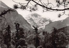 ALPIN: Jungfrau von Interlaken aus, gelaufen 1956