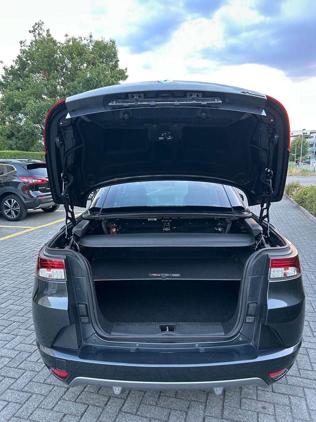 Automobili: Renault Megane 2.0 TCe GT – Usato da Guntalingen venduto da Romeo_75 1