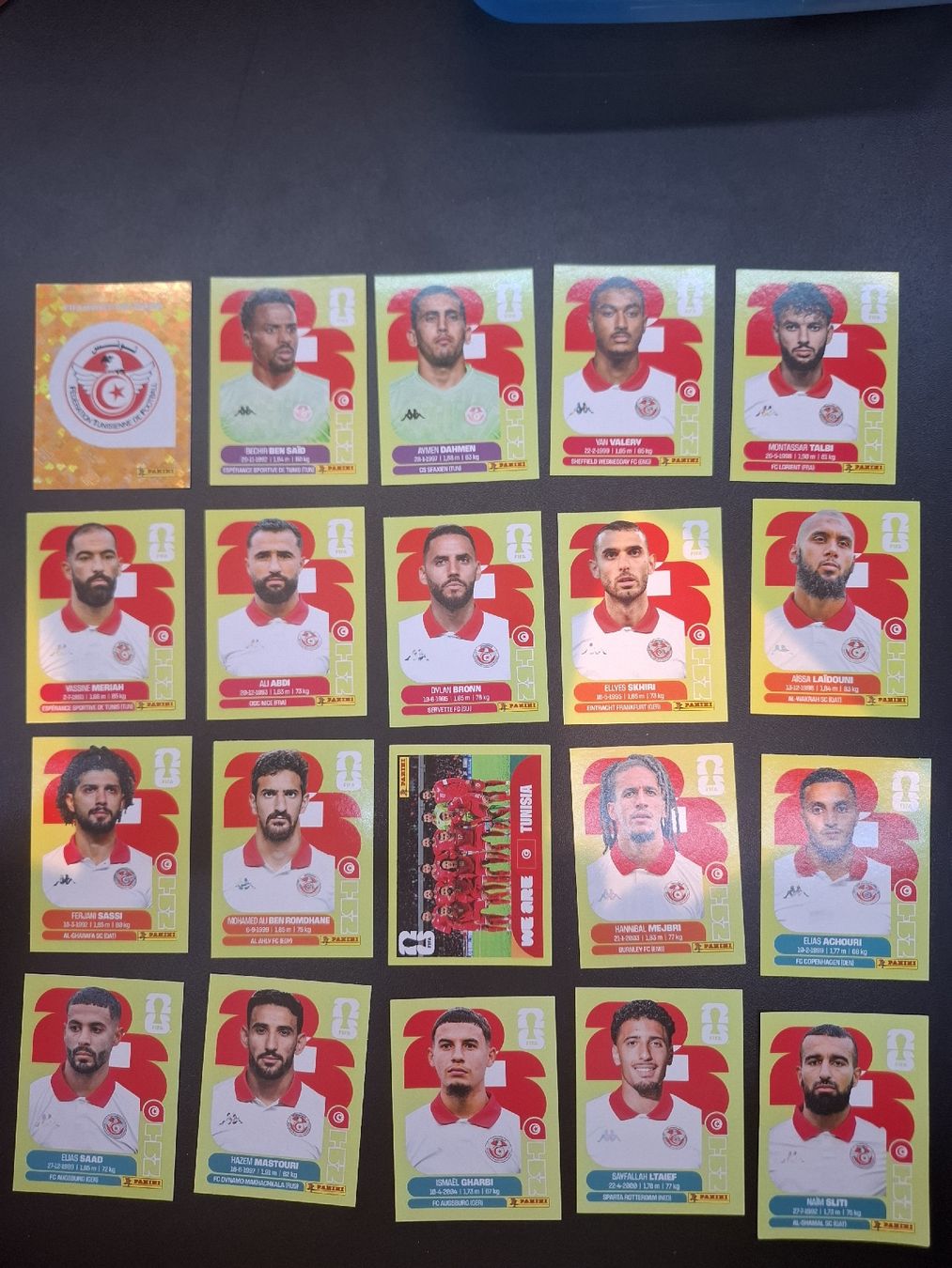 Panini Carte collezionabili: Panini ganzes Team Tunesien – Nuovo (secondo la descrizione) da Lieli venduto da Andrin.1901