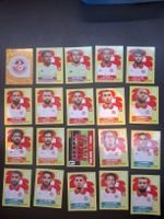 Panini ganzes Team Tunesien