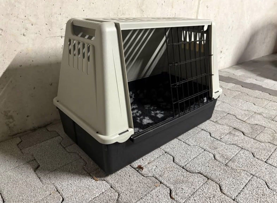 Käfige, Transport & Sicherheit: Transportbox – Gebraucht aus Rapperswil SG von walzvalerie