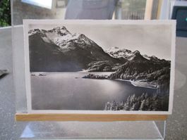 Sils im Engadin Silsersee Pis Margna Postkarte    1