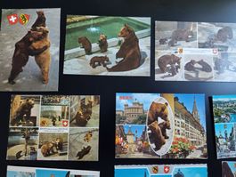 Bärenpark/Bärengraben Bern 22 AK