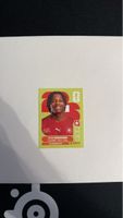 Panini Sticker Johan Manzambi SUI 15