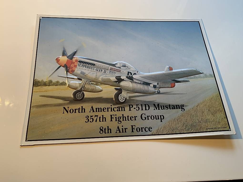 Foto & Immagini: Blechbild / Bild Mustang P-51D – Usato da Wil SG venduto da JoRaHa 1