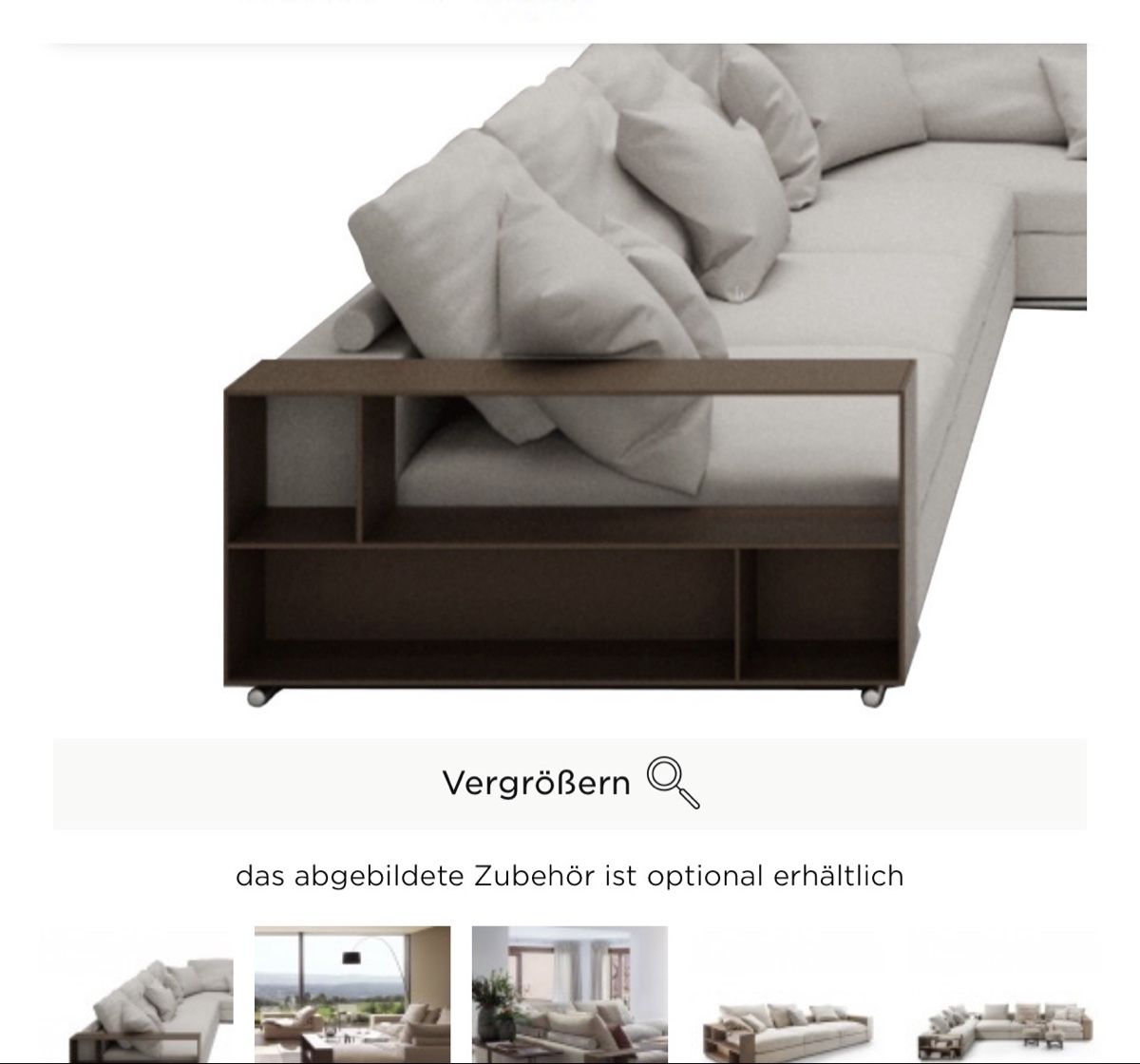 Divani: Flexform Groundpiece Lederarmlehne – Usato da Luzern venduto da MN12 2