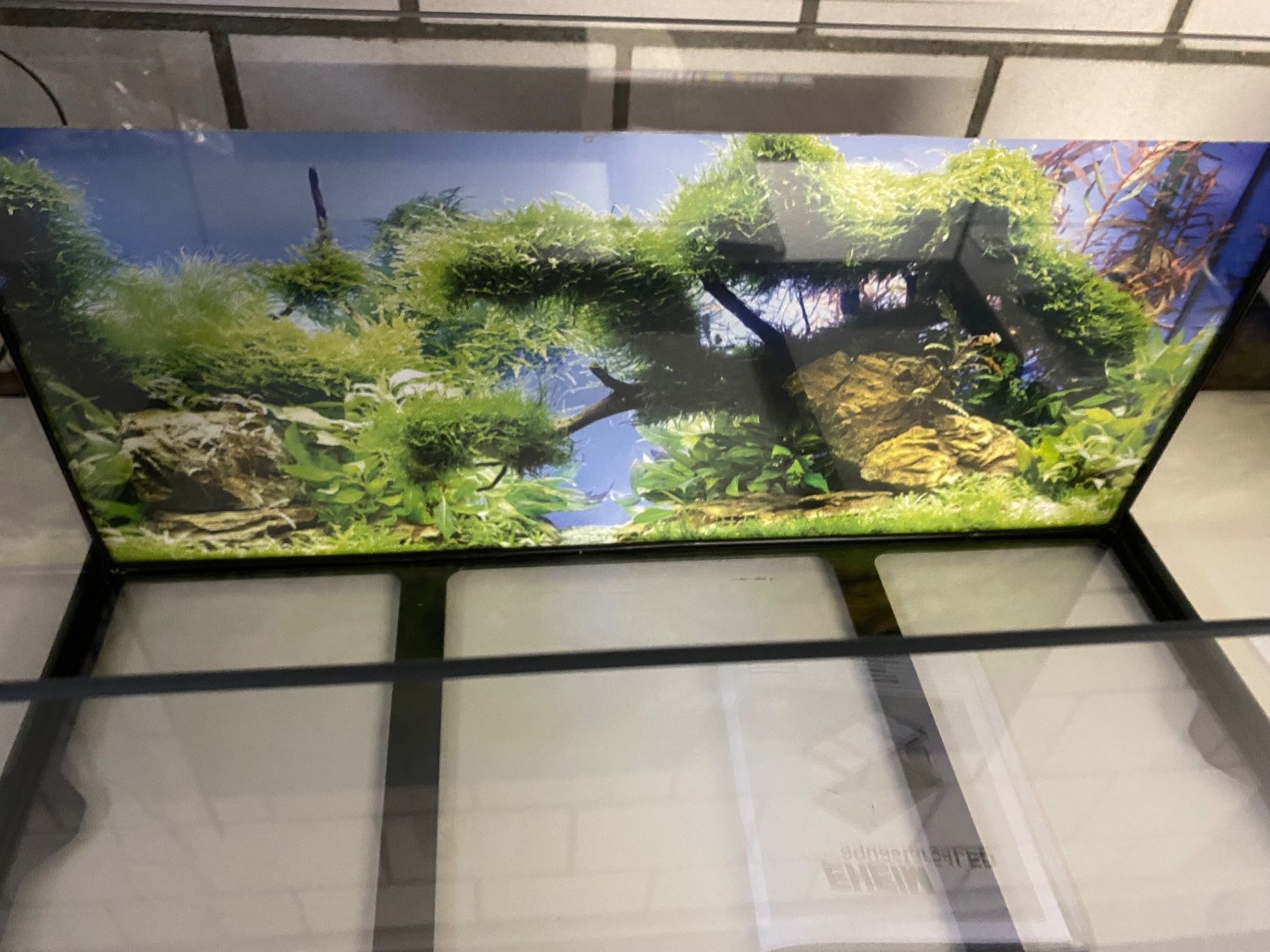 Eheim Acquari: Aquarium Eheim Aquastar 54 LED – Usato da Lüscherz venduto da junior74 2