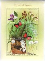 Block "Orchideen". Uganda.