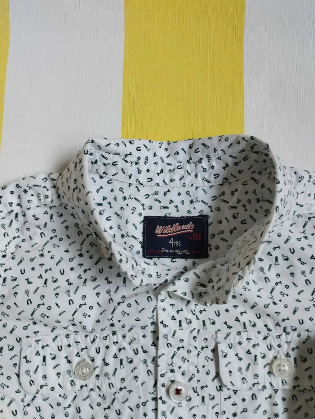 Camicie, T-shirt & Polo: Hemd größe 4 Jahre. – Usato da Widen venduto da isa_zz9b 2