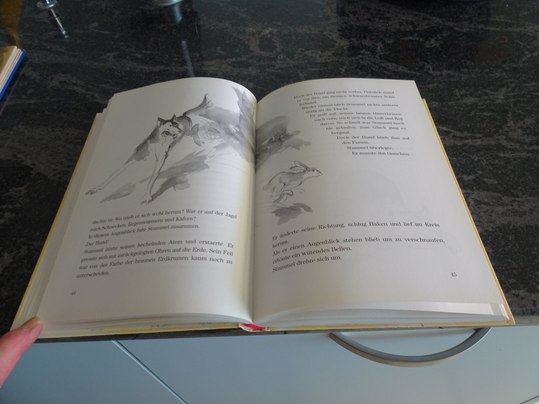 Libri: Buch Stummel Ein Hasenkind wird gross Max Bolliger 1999  JUL – Usato da Zürich venduto da Roulet 6