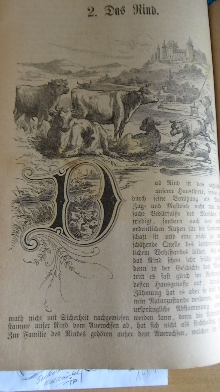 Bücher: Antikes Buch der Haustierarzt 1887 – Gebraucht aus Wiedlisbach von Bobesch10 5