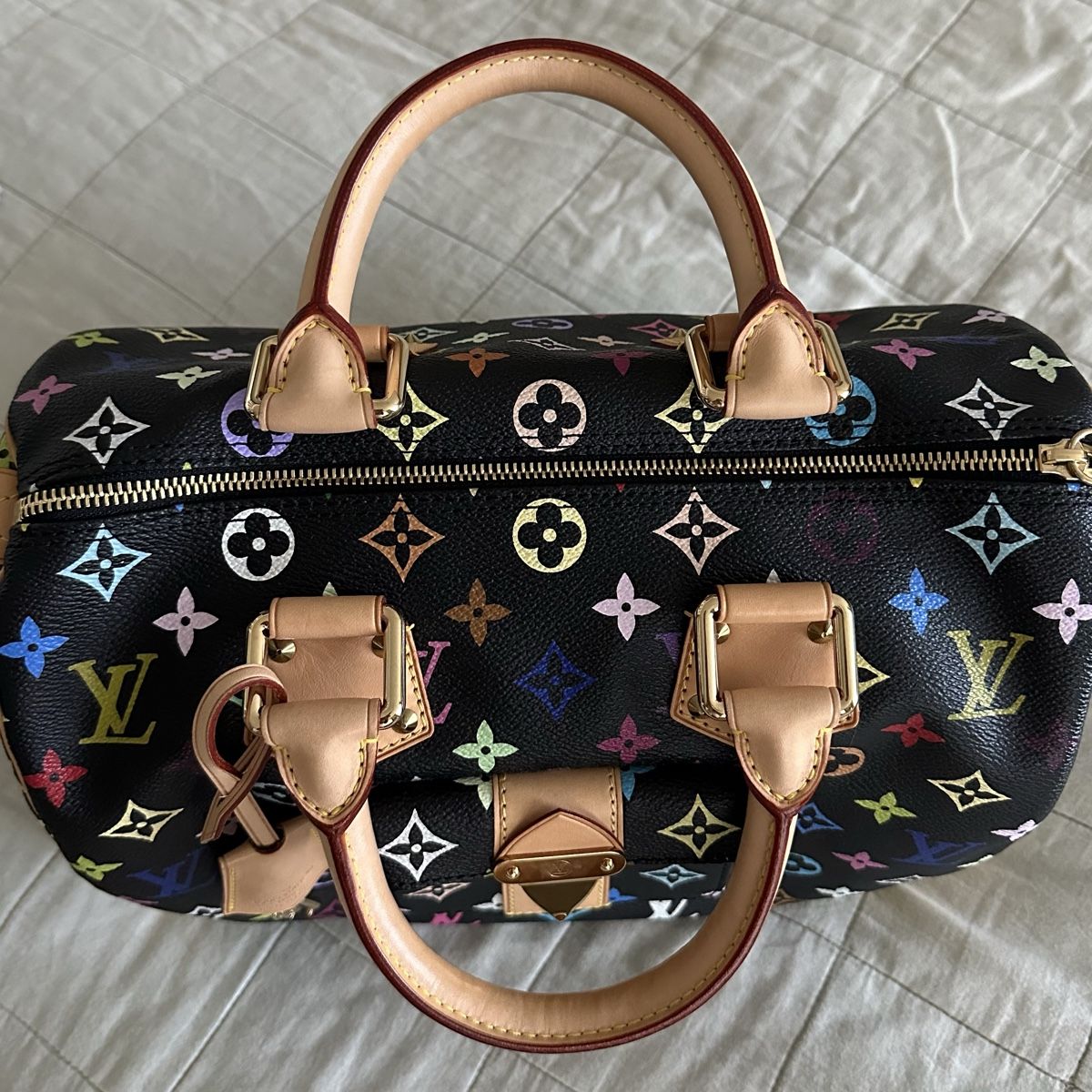 Louis Vuitton Borse: Louis Vuitton Speedy 30 Limited Edition – Nuovo (secondo la descrizione) da Zürich venduto da Nomase10. 8
