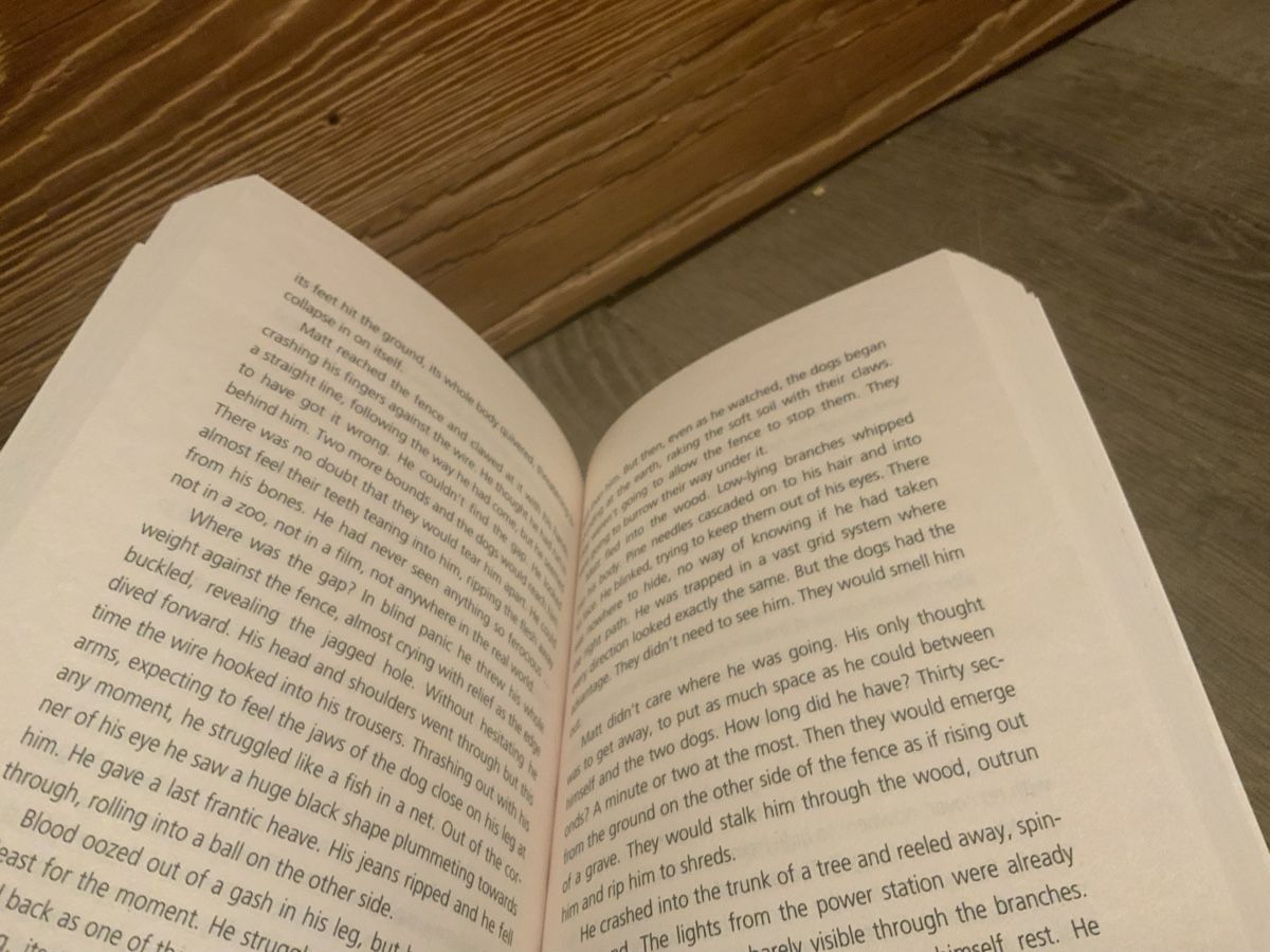 Libri: Raven’s gate by Anthony Horowitz – Nuovo (secondo la descrizione) da Verbier venduto da sar_rwt6 2