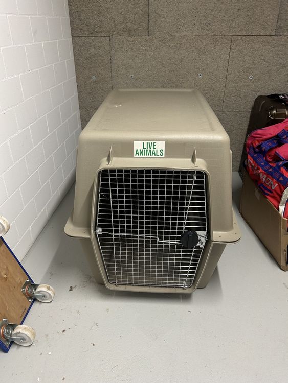 Flug- Transportbox für Hunde , Grösse Höhe 90cm Breite 80cm (Neu ...