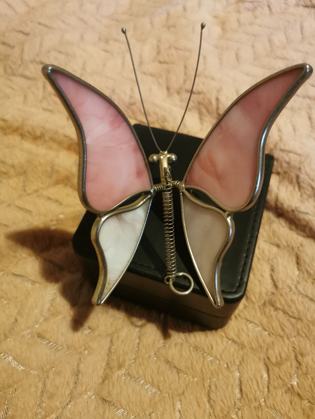Tutte le decorazioni: Deko Schmetterling  – Usato da Mellingen venduto da fra_g7y8