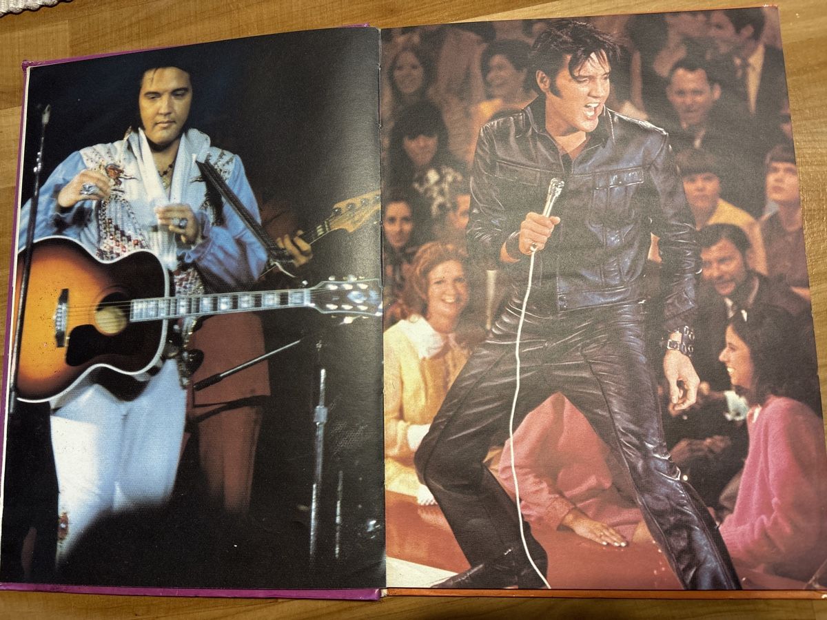Libri: Buch über Elvis – Usato da Rümlang venduto da euqinom16 7