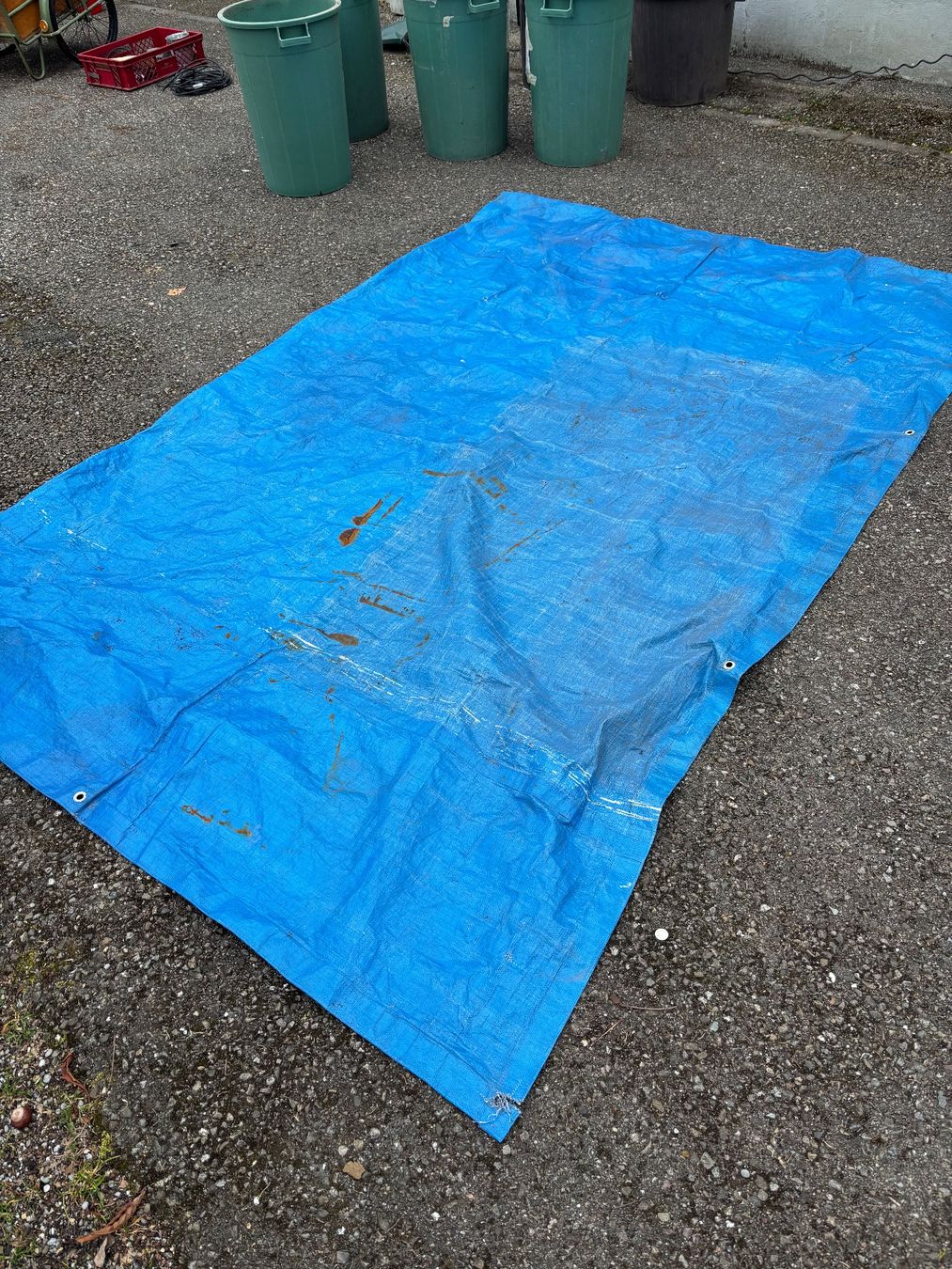 Altro: Blache Blau – Usato da Sennhof venduto da joel.c