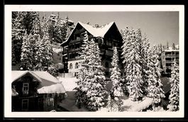 AK Arosa, Hotel und verschneite Tannen