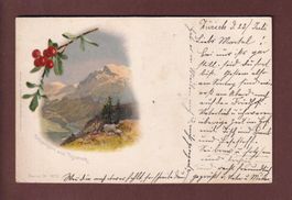 SCHERHORN und FISISTOCK - 1900
