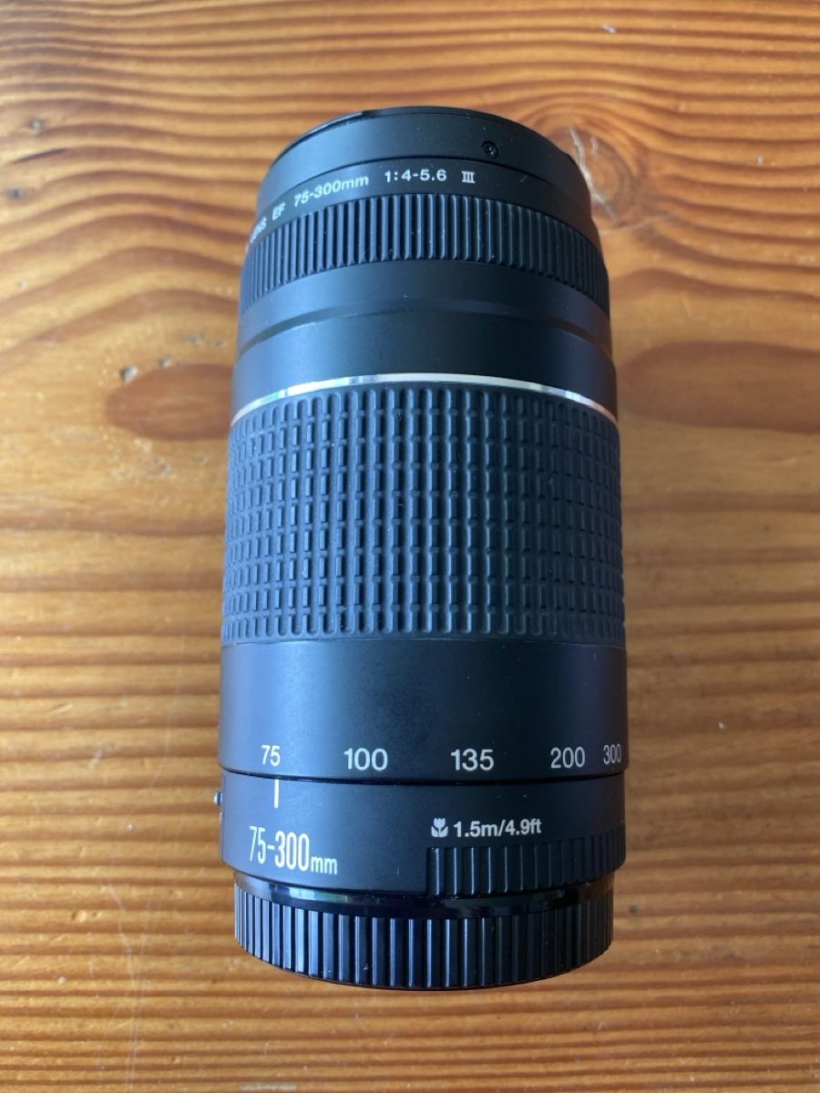 Canon Obiettivi: Canon Zoom Lens EF 75-300 mm – Usato da Schmitten FR venduto da noa_vm8b 1