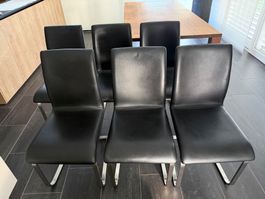 Stühle Freischwinger in Leder