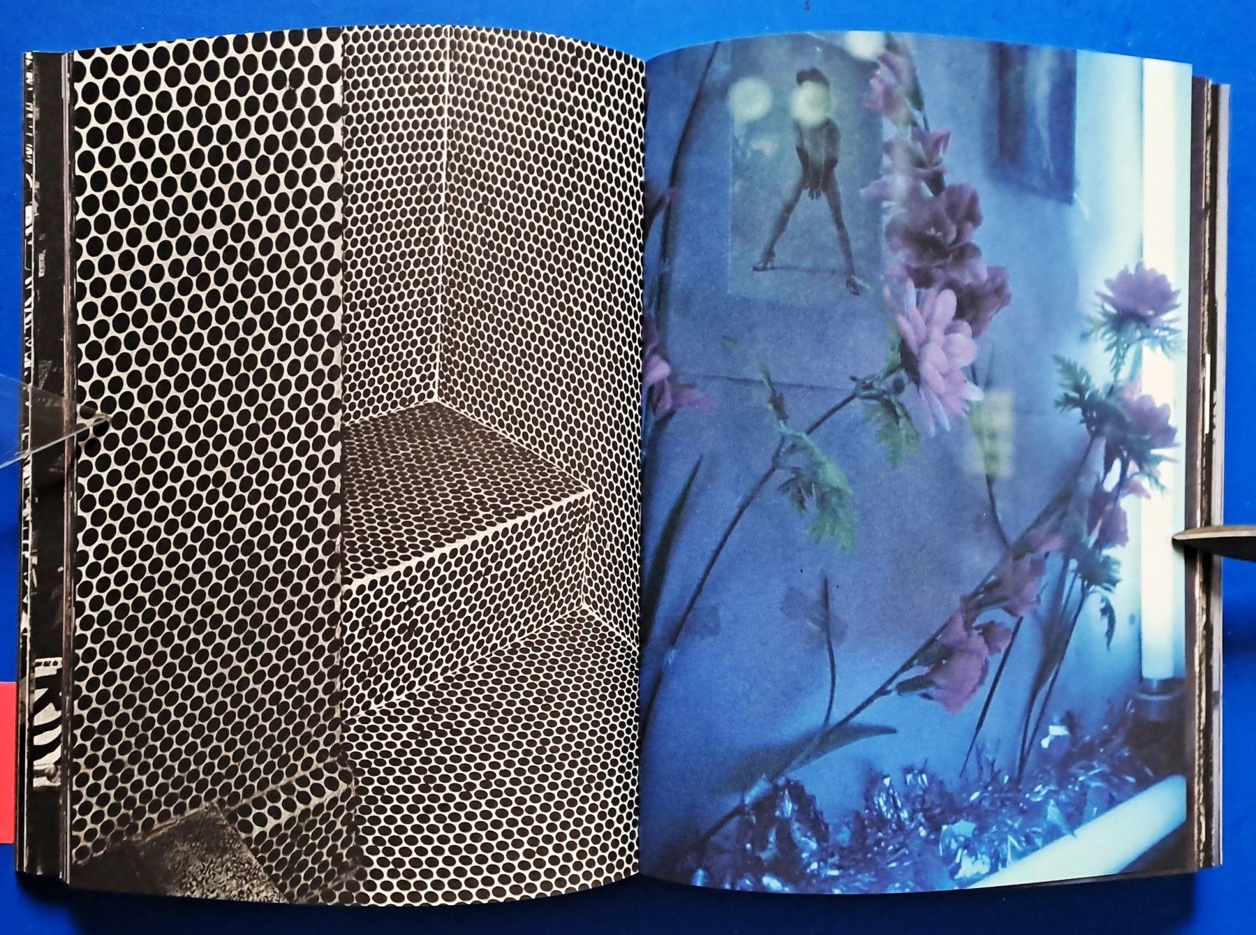 Libri: Daido Moriyama: REMIX (Second Edition London) – Usato da Zürich venduto da archiphil 6