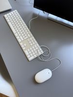Apple Aluminium Keyboard (A1243) CH-Layout & Mighty Mouse (A