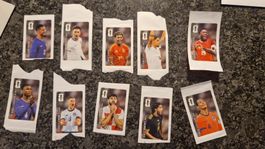 Panini coca cola Sticker WM 2026
