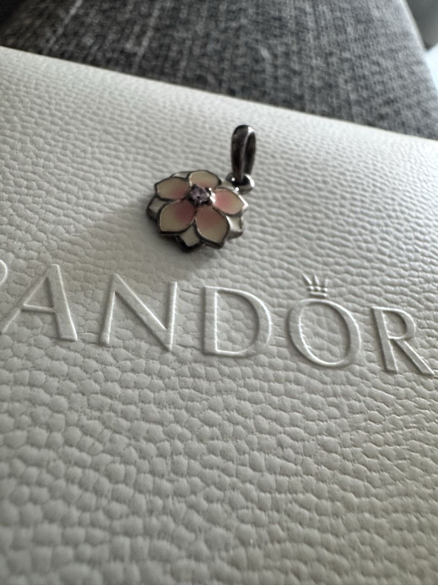 Pandora Ciondoli: Pandora Charm – Nuovo (secondo la descrizione) da Kerzers venduto da SaphiraKH 1