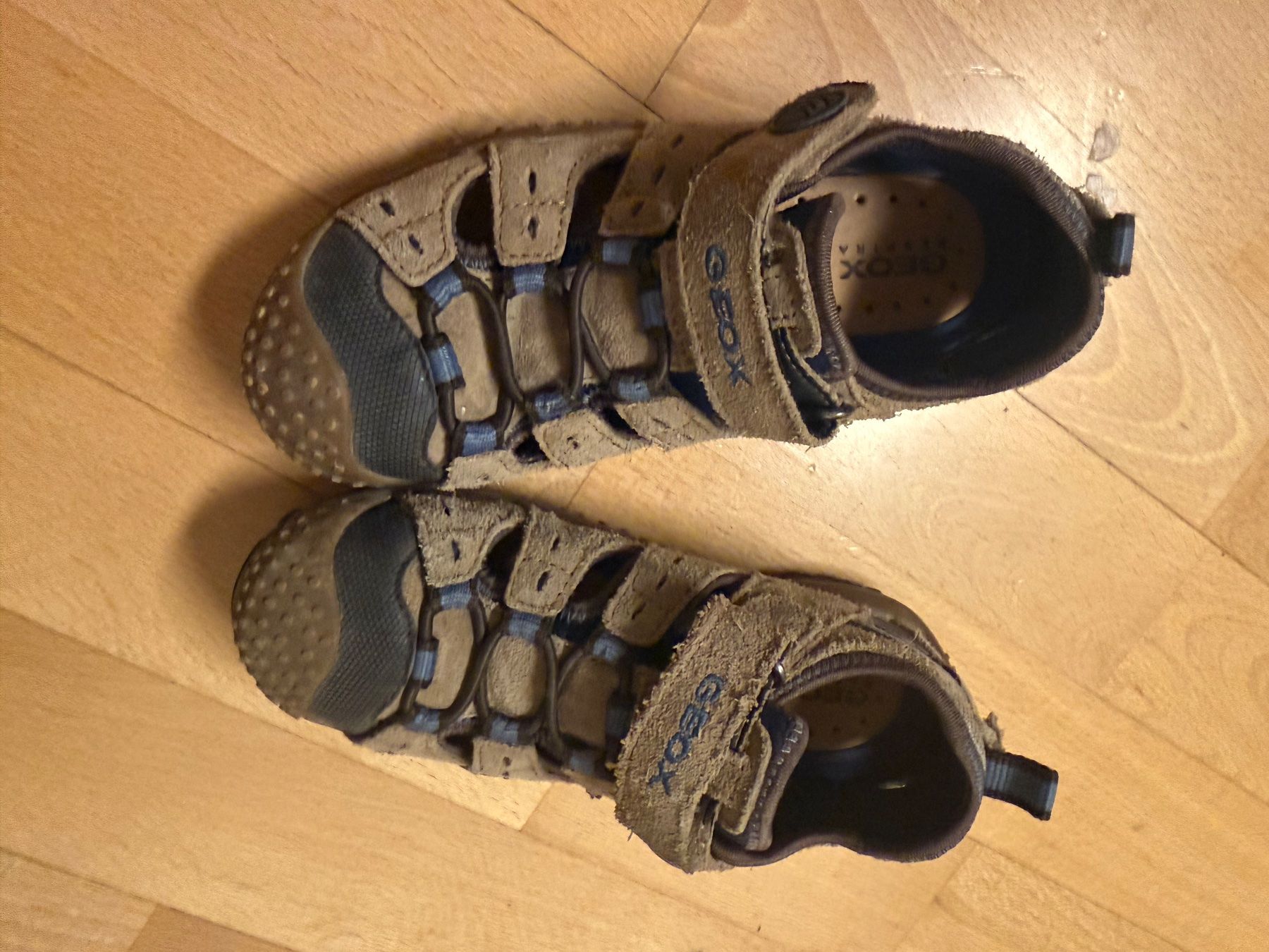 Geox Chaussures garçon: Schuhe Sandalen Geox – D'occasion à Winkel par gatta 2