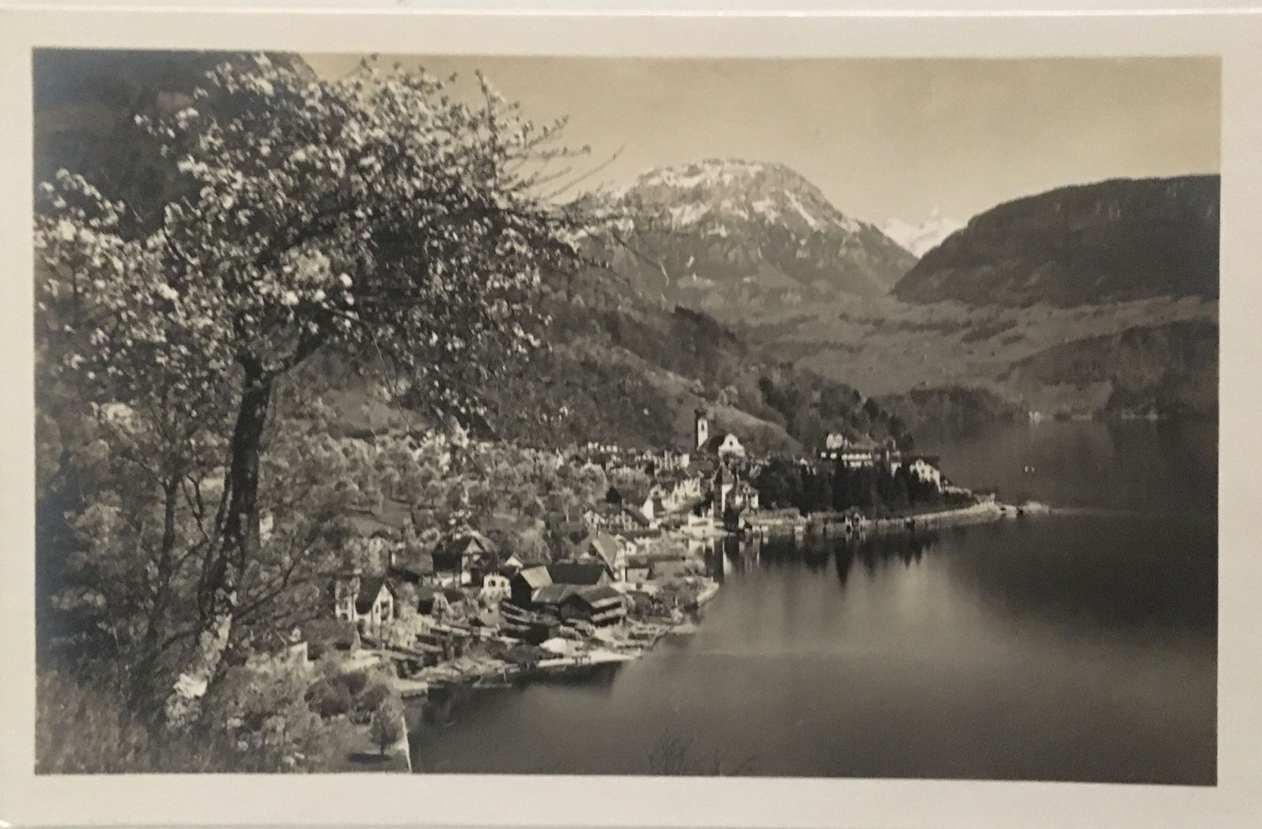 Cartes postales: Gersau – D'occasion à Frauenfeld par Merk52