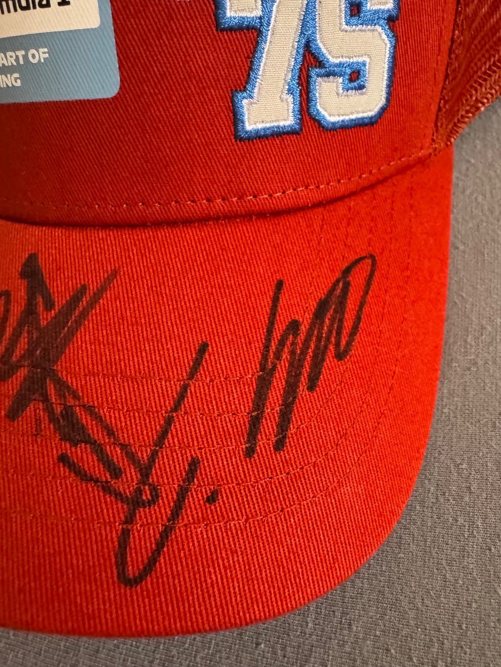 Autogramme: F1 signed hat – Neu (gemäss Beschreibung) aus Lumino von mar_9pn2 2