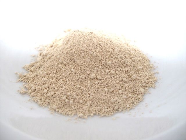 Cibi & Specialità: Terre de diatomée qualité alimentaire / Kieselgur – Nuovo e nell'imballaggio originale da Fribourg venduto da Meta26 2