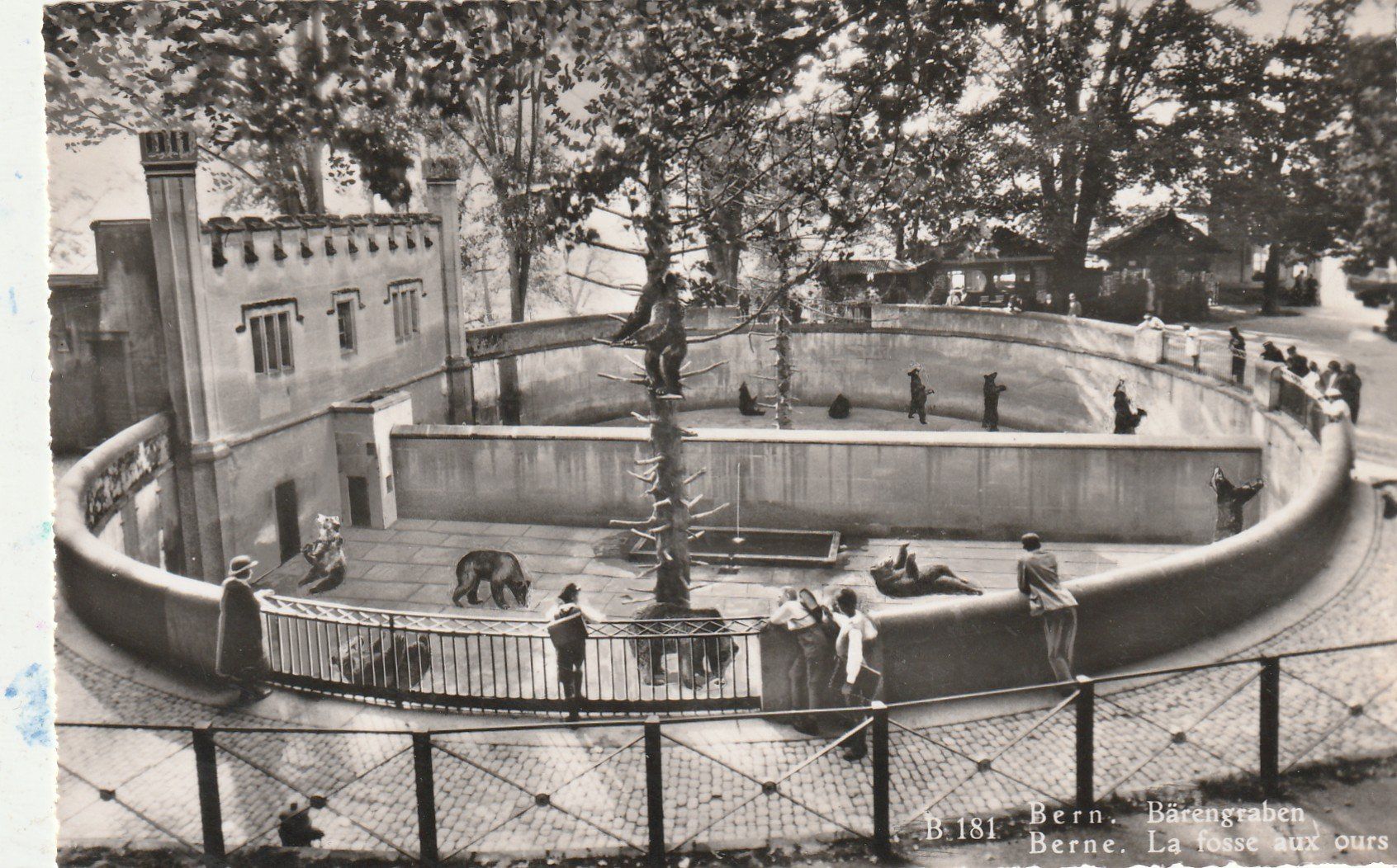 Cartoline postali: Bern Bärengraben – Usato da Lumbrein venduto da made02